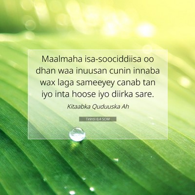 Picture 07 - Tirintii 6:4 SOM - Maalmaha isa-soociddiisa oo dhan waa inuusan - Bible Verse Picture