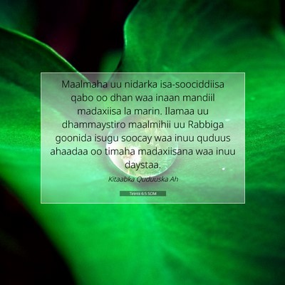 Picture 07 - Tirintii 6:5 SOM - Maalmaha uu nidarka isa-soociddiisa qabo oo dhan - Bible Verse Picture