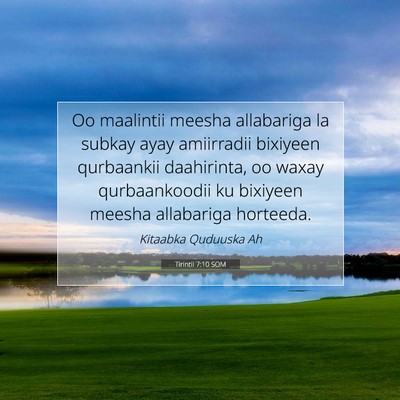Picture 07 - Tirintii 7:10 SOM - Oo maalintii meesha allabariga la subkay ayay - Bible Verse Picture