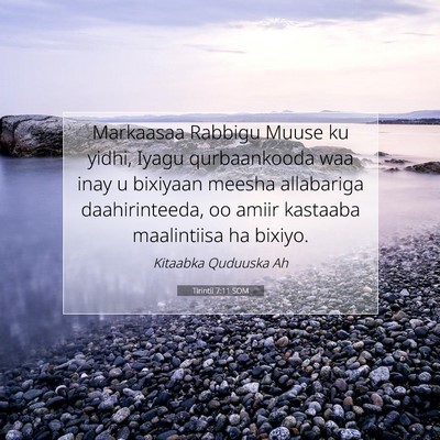 Picture 07 - Tirintii 7:11 SOM - Markaasaa Rabbigu Muuse ku yidhi, Iyagu - Bible Verse Picture