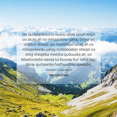 Picture 07 - Tirintii 7:13 SOM - Oo qurbaankiisuna wuxuu ahaa saxan weyn oo lacag - Bible Verse Picture