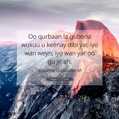 Picture 07 - Tirintii 7:27 SOM - Oo qurbaan la gubona wuxuu u keenay dibi yar, iyo - Bible Verse Picture