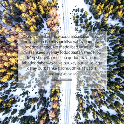Picture 07 - Tirintii 7:31 SOM - Oo qurbaankiisiina wuxuu ahaa saxan weyn oo lacag - Bible Verse Picture