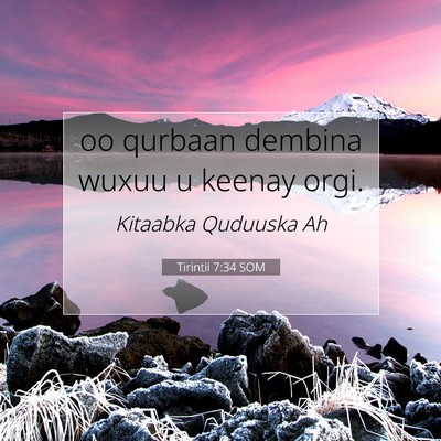 Picture 07 - Tirintii 7:34 SOM - oo qurbaan dembina wuxuu u keenay - Bible Verse Picture