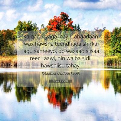 Picture 07 - Tirintii 7:5 SOM - Ka qaad iyaga inay u ahaadaan wax hawsha - Bible Verse Picture