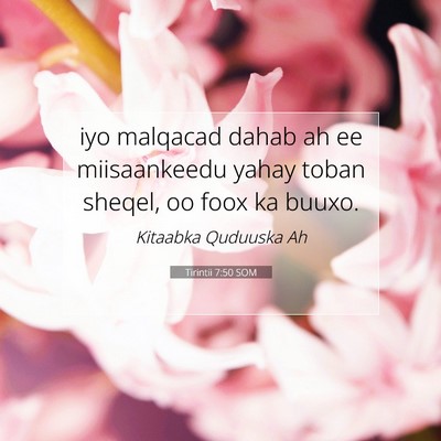 Picture 07 - Tirintii 7:50 SOM - iyo malqacad dahab ah ee miisaankeedu yahay toban - Bible Verse Picture