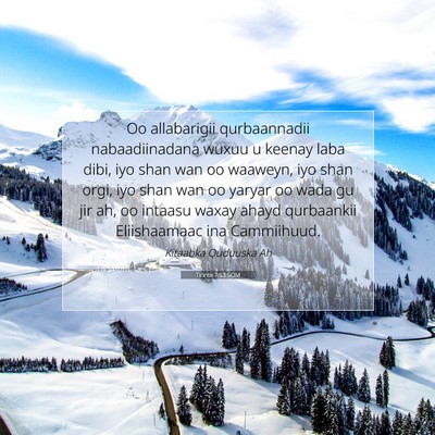 Picture 07 - Tirintii 7:53 SOM - Oo allabarigii qurbaannadii nabaadiinadana wuxuu - Bible Verse Picture