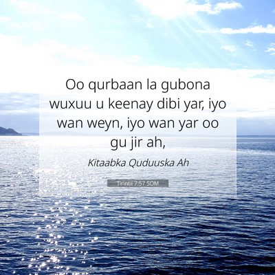 Picture 07 - Tirintii 7:57 SOM - Oo qurbaan la gubona wuxuu u keenay dibi yar, iyo - Bible Verse Picture