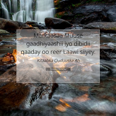 Picture 07 - Tirintii 7:6 SOM - Markaasaa Muuse gaadhiyaashii iyo dibidii qaaday - Bible Verse Picture