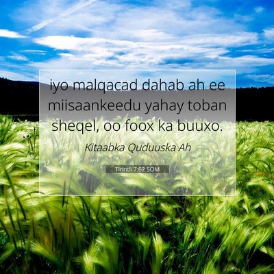 Picture 07 - Tirintii 7:62 SOM - iyo malqacad dahab ah ee miisaankeedu yahay toban - Bible Verse Picture