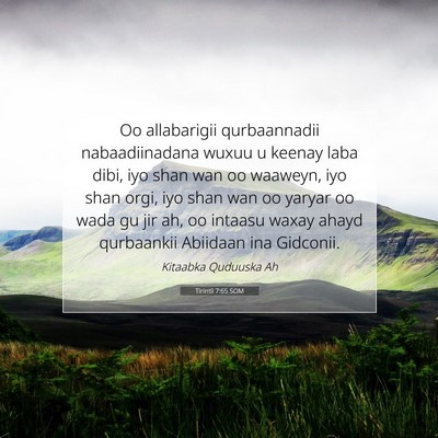 Picture 07 - Tirintii 7:65 SOM - Oo allabarigii qurbaannadii nabaadiinadana wuxuu - Bible Verse Picture