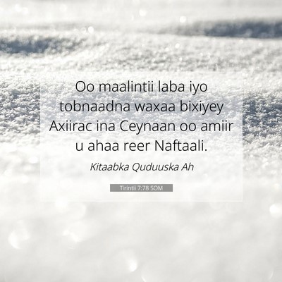 Picture 07 - Tirintii 7:78 SOM - Oo maalintii laba iyo tobnaadna waxaa bixiyey - Bible Verse Picture