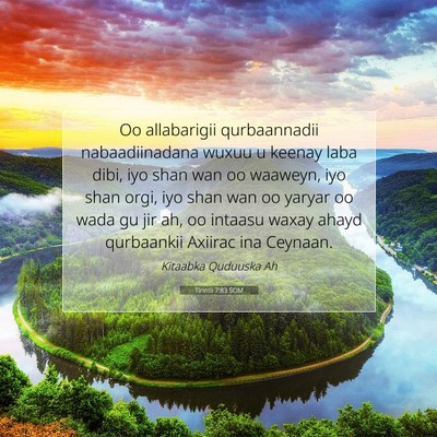 Picture 07 - Tirintii 7:83 SOM - Oo allabarigii qurbaannadii nabaadiinadana wuxuu - Bible Verse Picture