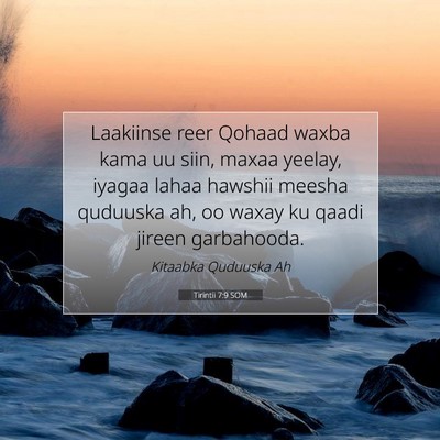Picture 07 - Tirintii 7:9 SOM - Laakiinse reer Qohaad waxba kama uu siin, maxaa - Bible Verse Picture