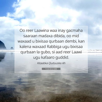 Picture 07 - Tirintii 8:12 SOM - Oo reer Laawina waa inay gacmaha saaraan madaxa - Bible Verse Picture
