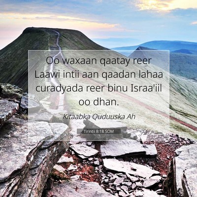 Picture 07 - Tirintii 8:18 SOM - Oo waxaan qaatay reer Laawi intii aan qaadan - Bible Verse Picture