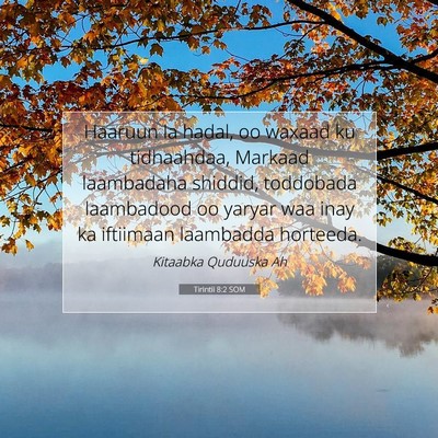 Picture 07 - Tirintii 8:2 SOM - Haaruun la hadal, oo waxaad ku tidhaahdaa, - Bible Verse Picture