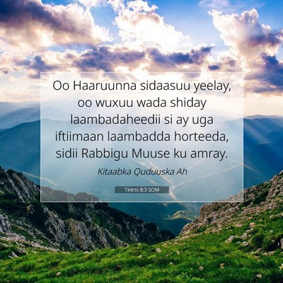 Picture 07 - Tirintii 8:3 SOM - Oo Haaruunna sidaasuu yeelay, oo wuxuu wada - Bible Verse Picture