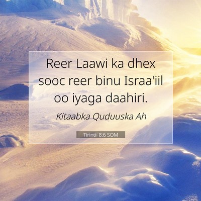 Picture 07 - Tirintii 8:6 SOM - Reer Laawi ka dhex sooc reer binu Israa'iil oo - Bible Verse Picture