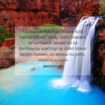 Picture 07 - Tirintii 9:1 SOM - Markaasaa Rabbigu Muuse kula hadlay cidladii - Bible Verse Picture
