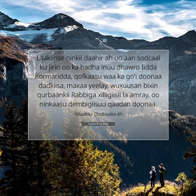 Picture 07 - Tirintii 9:13 SOM - Laakiinse ninkii daahir ah oo aan sodcaal ku - Bible Verse Picture
