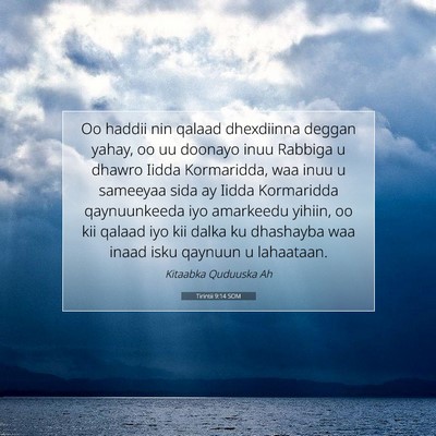 Picture 07 - Tirintii 9:14 SOM - Oo haddii nin qalaad dhexdiinna deggan yahay, oo - Bible Verse Picture