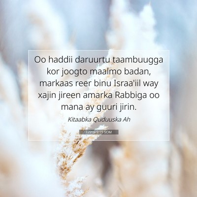 Picture 07 - Tirintii 9:19 SOM - Oo haddii daruurtu taambuugga kor joogto maalmo - Bible Verse Picture