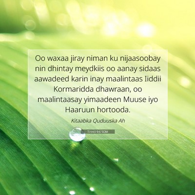 Picture 07 - Tirintii 9:6 SOM - Oo waxaa jiray niman ku nijaasoobay nin dhintay - Bible Verse Picture