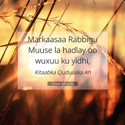 Picture 07 - Tirintii 9:9 SOM - Markaasaa Rabbigu Muuse la hadlay oo wuxuu ku - Bible Verse Picture