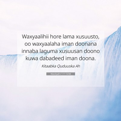Picture 07 - Wacdiyahii 1:11 SOM - Waxyaalihii hore lama xusuusto, oo waxyaalaha - Bible Verse Picture