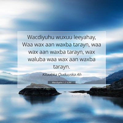 Picture 07 - Wacdiyahii 1:2 SOM - Wacdiyuhu wuxuu leeyahay, Waa wax aan waxba - Bible Verse Picture