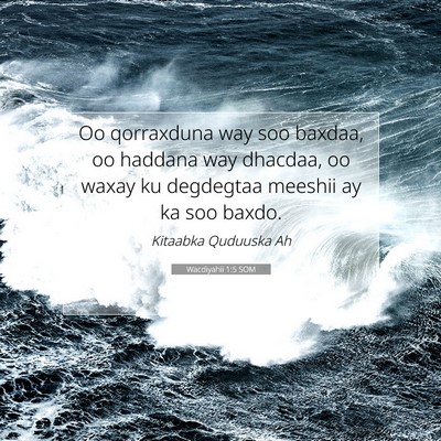 Picture 07 - Wacdiyahii 1:5 SOM - Oo qorraxduna way soo baxdaa, oo haddana way - Bible Verse Picture