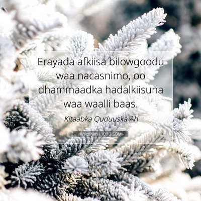 Picture 07 - Wacdiyahii 10:13 SOM - Erayada afkiisa bilowgoodu waa nacasnimo, oo - Bible Verse Picture
