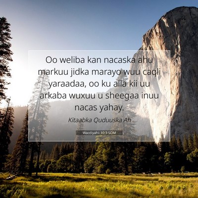 Picture 07 - Wacdiyahii 10:3 SOM - Oo weliba kan nacaska ahu markuu jidka marayo wuu - Bible Verse Picture