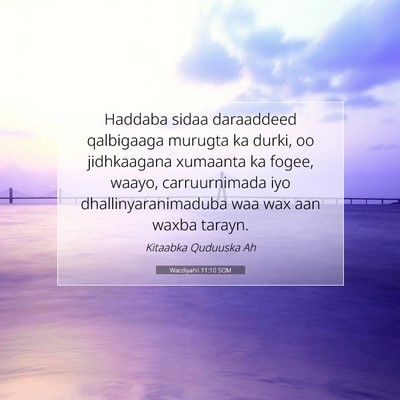 Picture 07 - Wacdiyahii 11:10 SOM - Haddaba sidaa daraaddeed qalbigaaga murugta ka - Bible Verse Picture