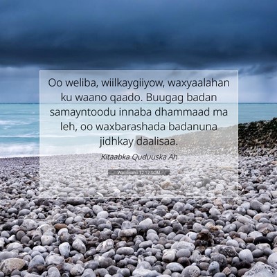 Picture 07 - Wacdiyahii 12:12 SOM - Oo weliba, wiilkaygiiyow, waxyaalahan ku waano - Bible Verse Picture