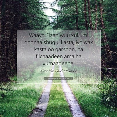 Picture 07 - Wacdiyahii 12:14 SOM - Waayo, Ilaah wuu xukumi doonaa shuqul kasta, iyo - Bible Verse Picture