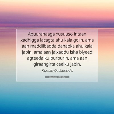 Picture 07 - Wacdiyahii 12:6 SOM - Abuurahaaga xusuuso intaan xadhigga lacagta ahu - Bible Verse Picture