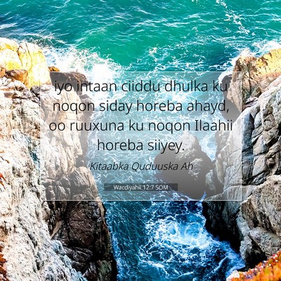 Picture 07 - Wacdiyahii 12:7 SOM - iyo intaan ciiddu dhulka ku noqon siday horeba - Bible Verse Picture