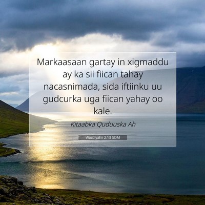 Picture 07 - Wacdiyahii 2:13 SOM - Markaasaan gartay in xigmaddu ay ka sii fiican - Bible Verse Picture