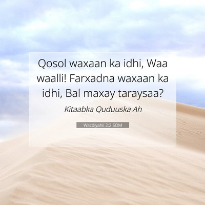 Picture 07 - Wacdiyahii 2:2 SOM - Qosol waxaan ka idhi, Waa waalli! Farxadna waxaan - Bible Verse Picture
