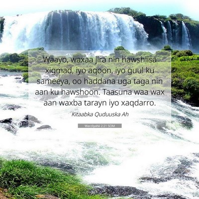 Picture 07 - Wacdiyahii 2:21 SOM - Waayo, waxaa jira nin hawshiisa xigmad, iyo - Bible Verse Picture