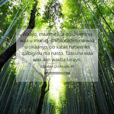 Picture 07 - Wacdiyahii 2:23 SOM - Waayo, maalmihiisa oo dhammu waa u murug, - Bible Verse Picture