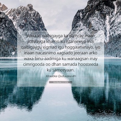 Picture 07 - Wacdiyahii 2:3 SOM - Waxaan qalbigayga ka damcay inaan jidhkayga - Bible Verse Picture
