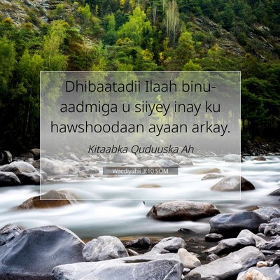 Picture 07 - Wacdiyahii 3:10 SOM - Dhibaatadii Ilaah binu-aadmiga u siiyey inay ku - Bible Verse Picture