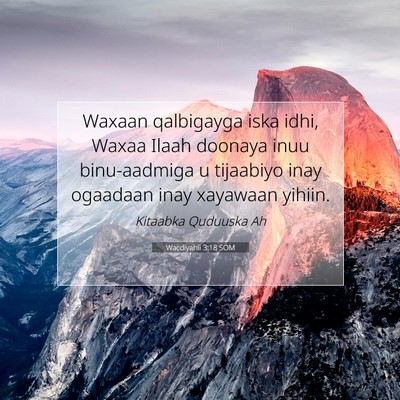Picture 07 - Wacdiyahii 3:18 SOM - Waxaan qalbigayga iska idhi, Waxaa Ilaah doonaya - Bible Verse Picture