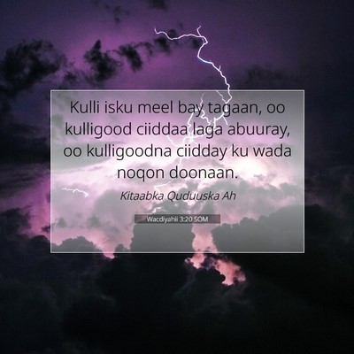 Picture 07 - Wacdiyahii 3:20 SOM - Kulli isku meel bay tagaan, oo kulligood ciiddaa - Bible Verse Picture