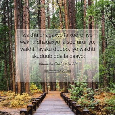 Picture 07 - Wacdiyahii 3:5 SOM - wakhti dhagaxyo la xooro, iyo wakhti dhagaxyo la - Bible Verse Picture