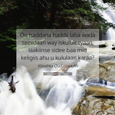 Picture 07 - Wacdiyahii 4:11 SOM - Oo haddana haddii laba wada seexdaan way - Bible Verse Picture