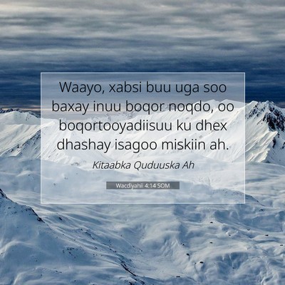 Picture 07 - Wacdiyahii 4:14 SOM - Waayo, xabsi buu uga soo baxay inuu boqor noqdo, - Bible Verse Picture